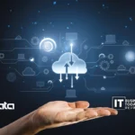 CData